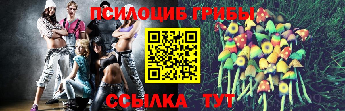 Псилоцибиновые грибы Psilocybine cubensis  Вход с VPN  Малгобек 