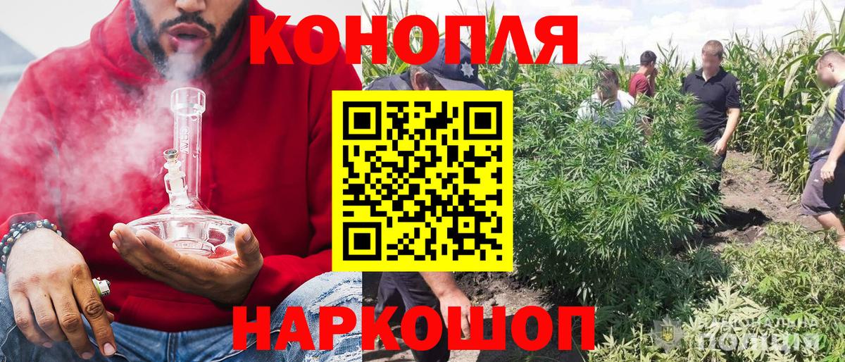 Малгобек  Марихуана семена  Вход с VPN  Бошки Шишки White Widow  Шишки марихуана VHQ 